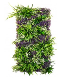 Provence Plantevæg med...
