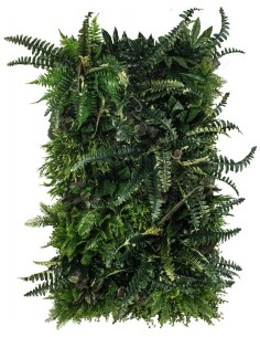 Rainforest Plantevæg med...