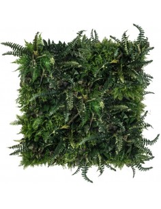 Rainforest Plantevæg med... 2