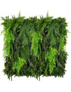 Fern Cascade Plantevæg med... 2