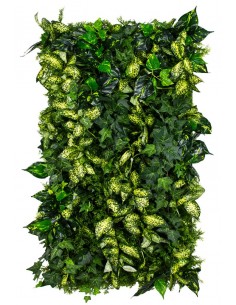 Grown Ivy Plantevæg med...
