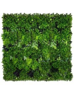 Moss Mesh Plantevæg med... 2