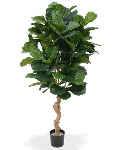 Stor kunstig Lyrata plante H160 cm -...