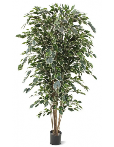 Stor kunstig Ficus plante H180 cm - Grøn