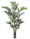 Stor kunstig Kentia palme H260 cm - Grøn