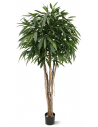 Stor kunstig Longfolia plante H180 cm - Grøn