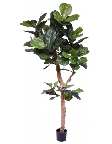 Stor kunstig Lyrata plante H210 cm -...