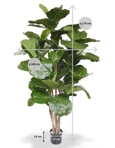 Stor kunstig Lyrata plante... 2