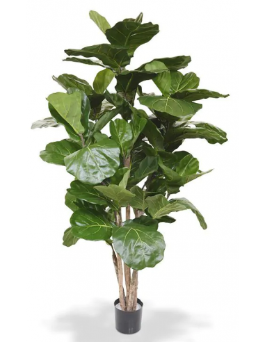 Stor kunstig Lyrata plante H170 cm -...