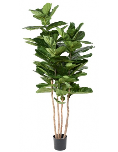 Stor kunstig Lyrata plante H210 cm