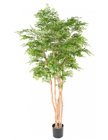 Stort kunstigt Acacia træ H210 cm