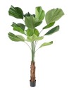 Stor kunstig Licuala plante H205 cm