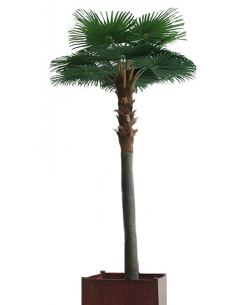 Stort kunstigt Camerus...