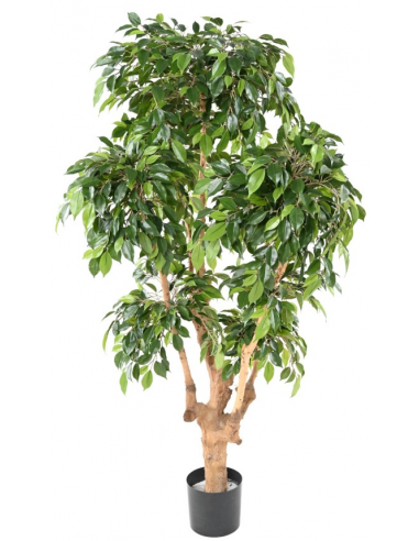 Stor kunstig Ficus plante H170 cm