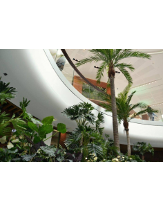 Stort kunstigt kokos... 2