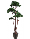 Stort kunstigt bonsai fyrretræ H250 cm