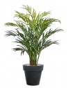 Stor kunstig Areca plante med potte H190 cm