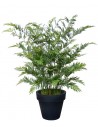 Stor kunstig Kreta plante med potte H220 cm