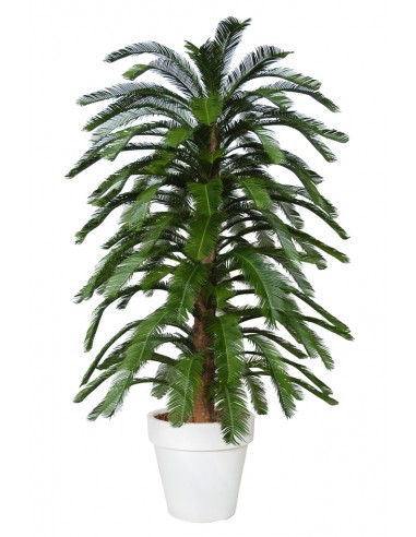 Stort kunstigt Cycas Florida træ med...