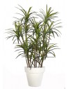 Stor kunstig Dracaena plante med potte H220 cm