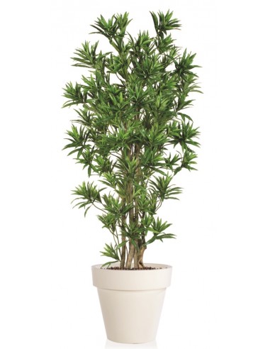 Stor kunstig Dracaena plante med...