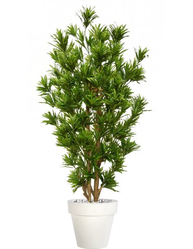 Stor kunstig Dracaena plante med...