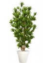 Stor kunstig Dracaena plante med potte H220 cm