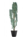 Stort kunstigt Eucalyptus træ med potte H210 cm