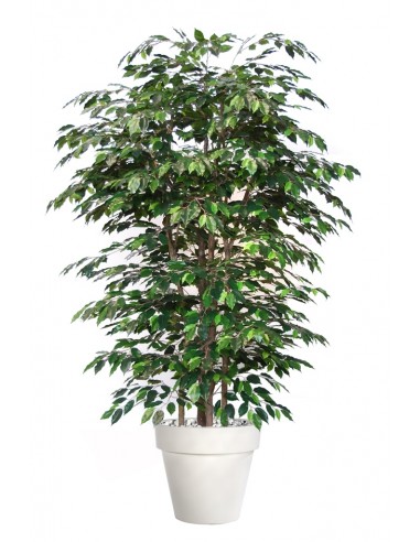 Stor kunstig Ficus Exotica plante med...