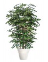 Stor kunstig Ficus Exotica plante med potte H220 cm