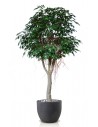 Stort kunstigt Ficus Exotica træ med potte H320 cm