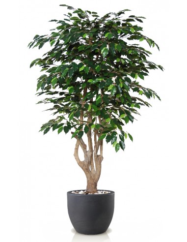 Stort kunstigt Ficus Exotica træ med...