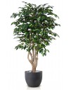 Stort kunstigt Ficus Exotica træ med potte H180 cm