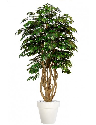 Stort kunstigt Ficus Exotica træ med...