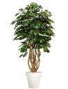 Stort kunstigt Ficus Exotica træ med potte H250 cm