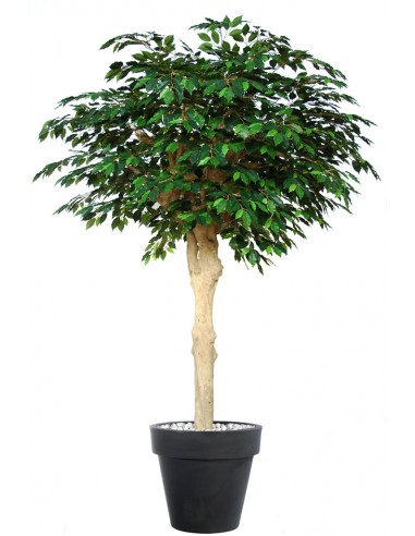 Stort kunstigt Ficus Exotica træ med...