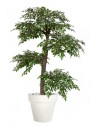 Stort kunstigt Ficus Nitida træ med potte H220 cm