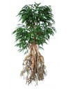 Stort kunstigt Longifolia træ H250 cm