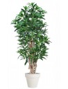 Stor kunstig Mango plante med potte H220 cm