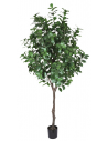 Stort kunstigt Laurel træ H220 cm