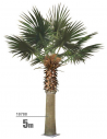 Stort kunstigt Washington palme træ H500 cm