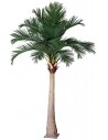 Stor kunstig Kokos palme H460 cm