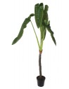 Stor kunstig Elefantøre plante H240 cm