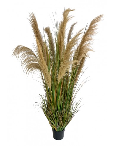 Stor kunstig Pampas græs plante H185 cm