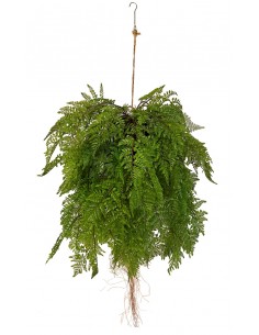 Stor kunstig Bregne til...