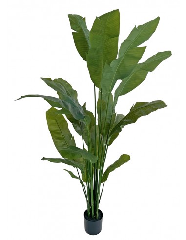 Stor kunstig Traveler plante H210 cm