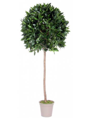 Stort kunstigt Laurel træ H150 x Ø55 cm