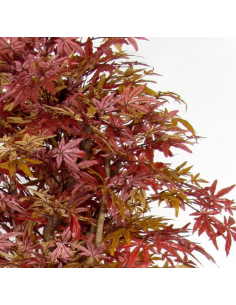 Stort kunstigt Ahorntræ... 2