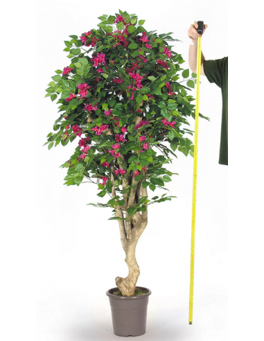 Stort kunstigt Bougainvillea træ H175 cm