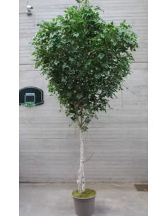 Stort kunstigt Birketræ...